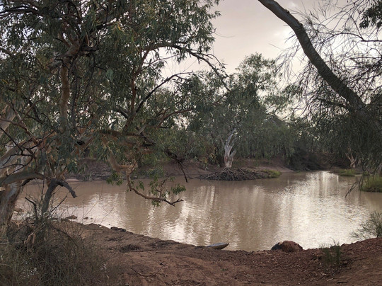 Pelican Point Nature Trail-Thargomindah必去景点