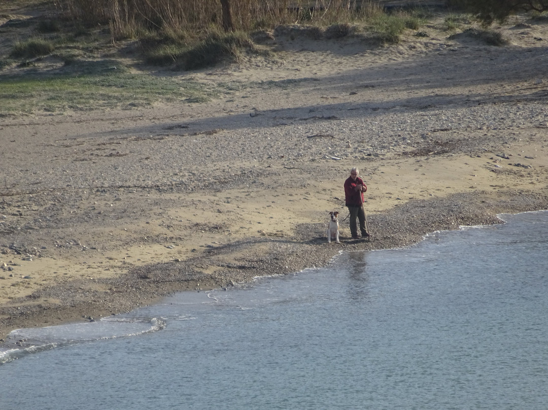 Parasporos Beach景点图片