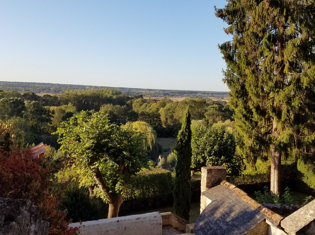 Chateau De Nazelles Amboise主图