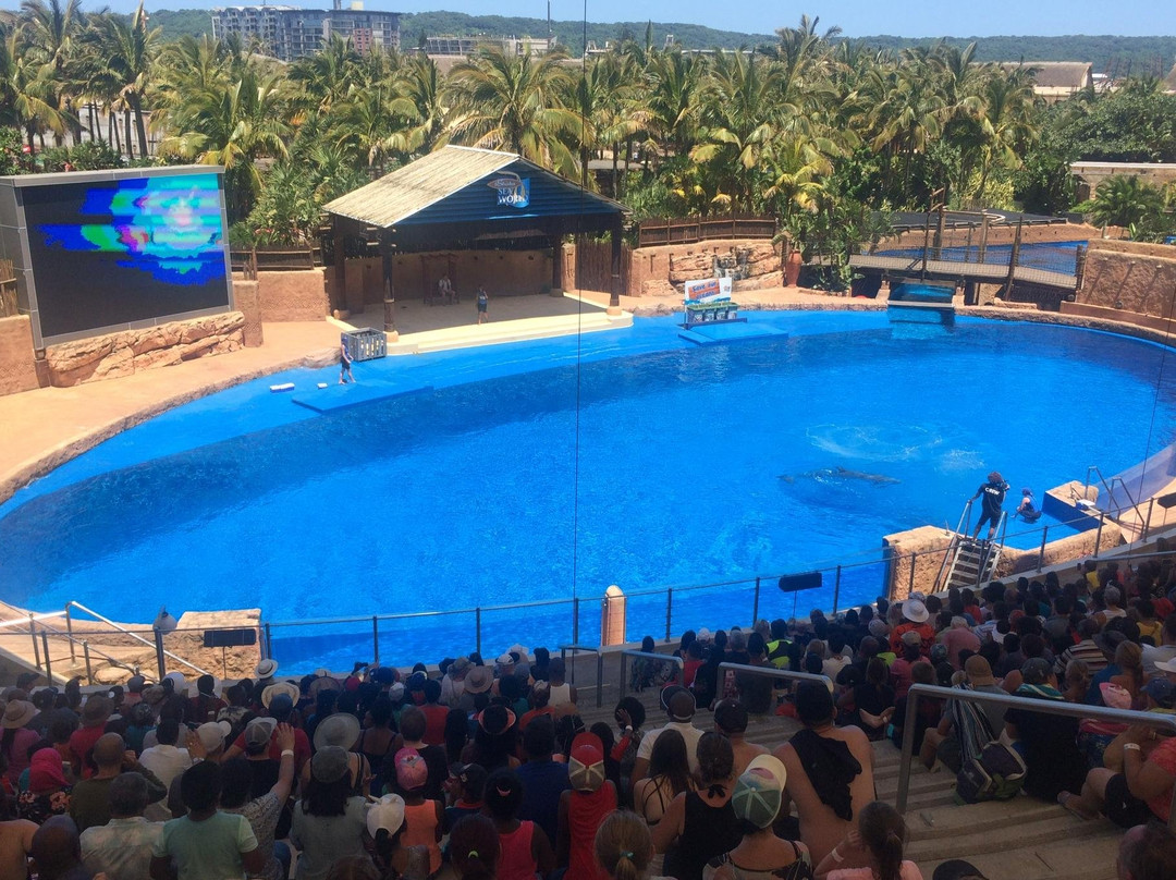 SIGNORE & SIGNORI-约翰内斯堡必去景点