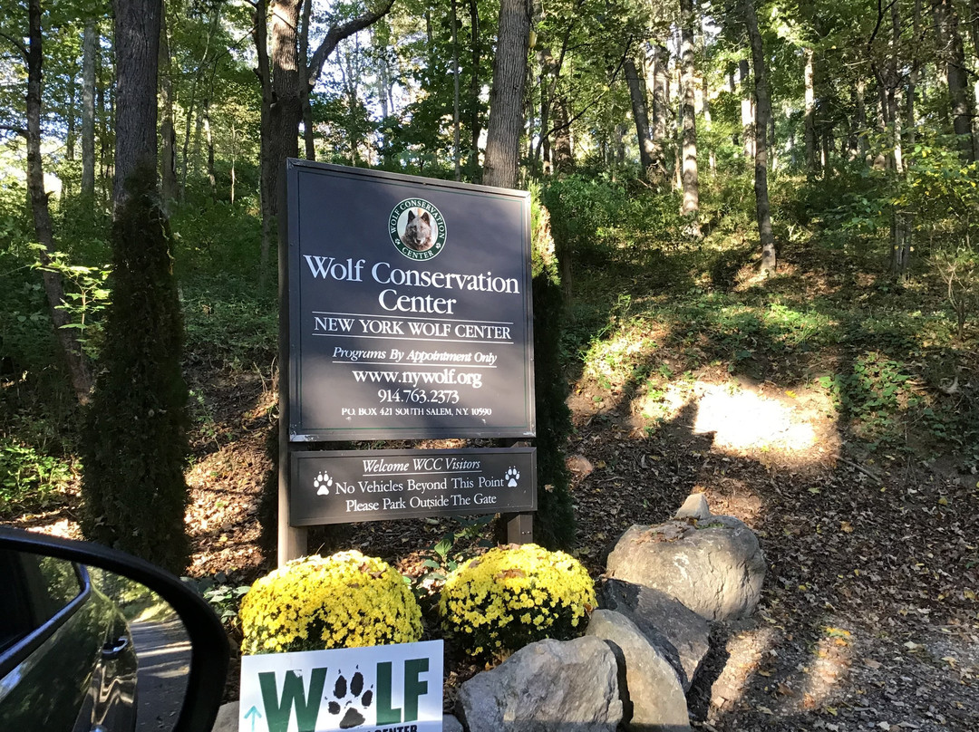 Wolf Conservation Center-South Salem必去景点