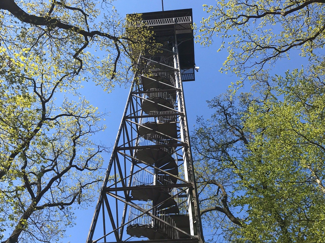 Meisterturm景点图片
