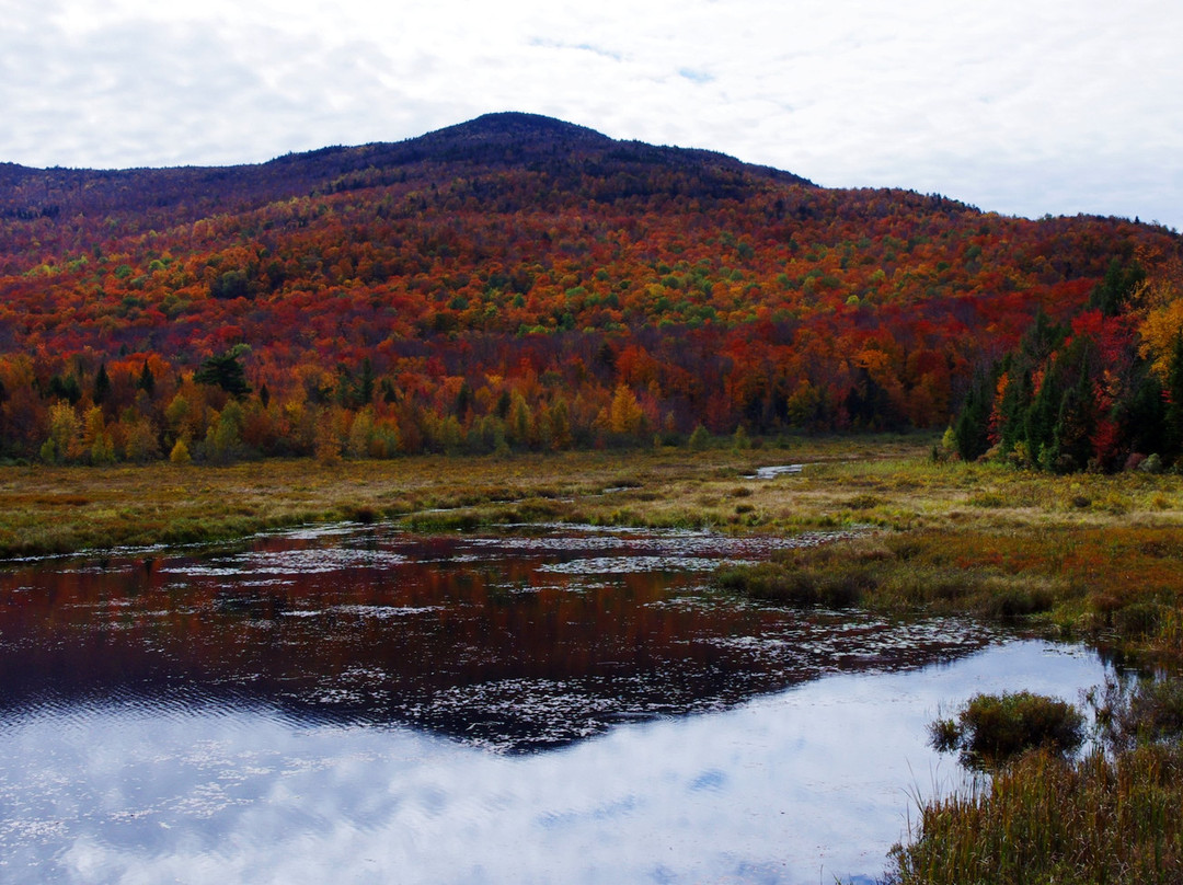 Etang Fer de Lance-Orford必去景点