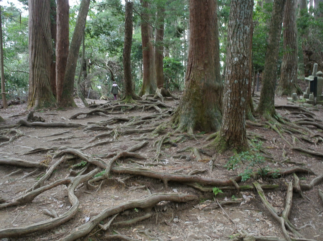 鞍马山景点图片