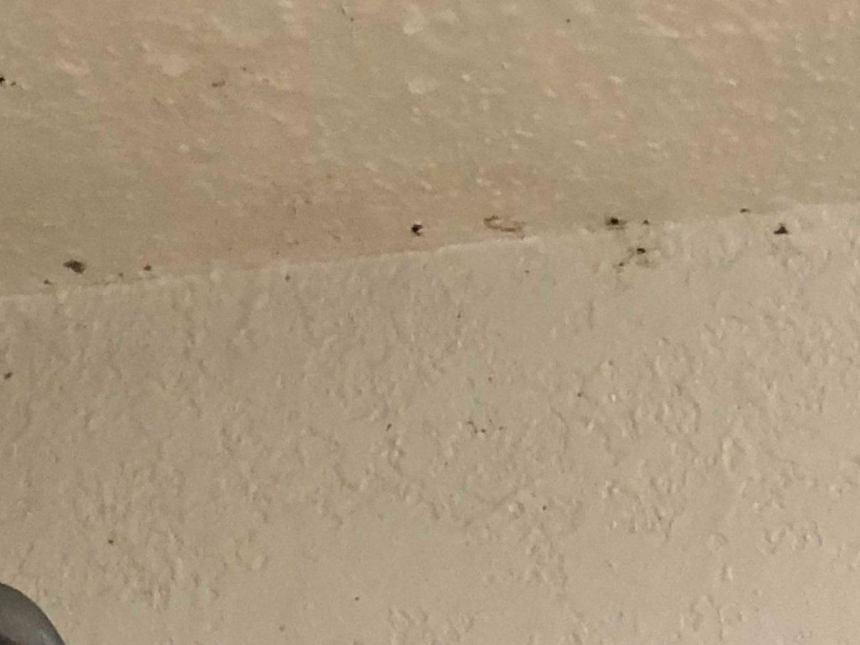 布埃纳帕克拉昆塔温德姆套房酒店-浴室