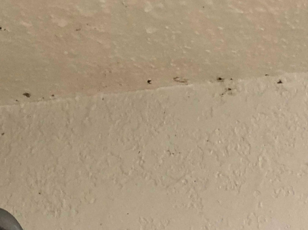 La Quinta Inn & Suites by Wyndham Buena Park主图