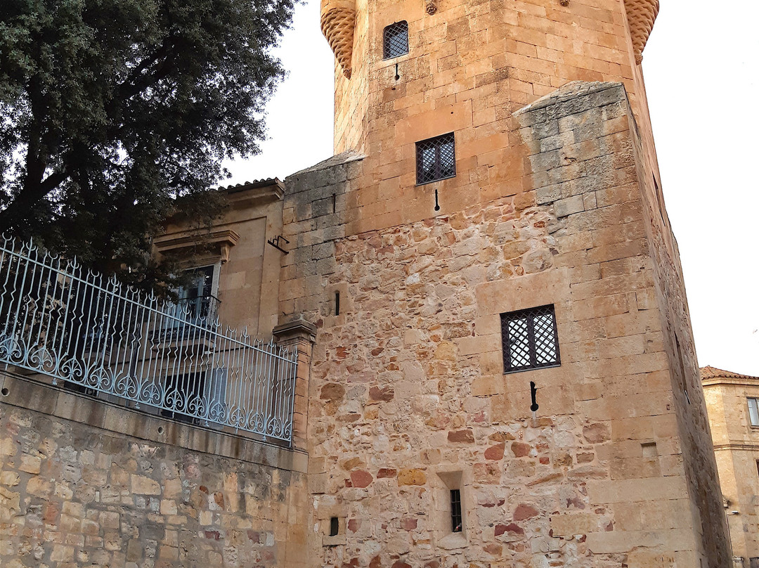 Torre del Clavero-萨拉曼卡必去景点