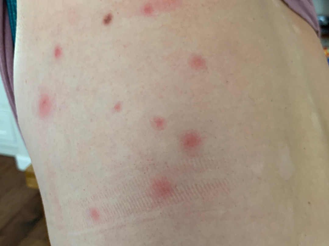 帕萨迪纳威斯丁酒店主图