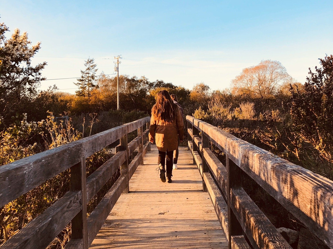 Arcata Marsh and Wildlife Sanctuary景点图片