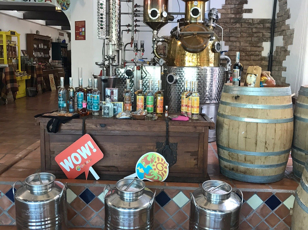 Onilikan-马萨特兰必去景点