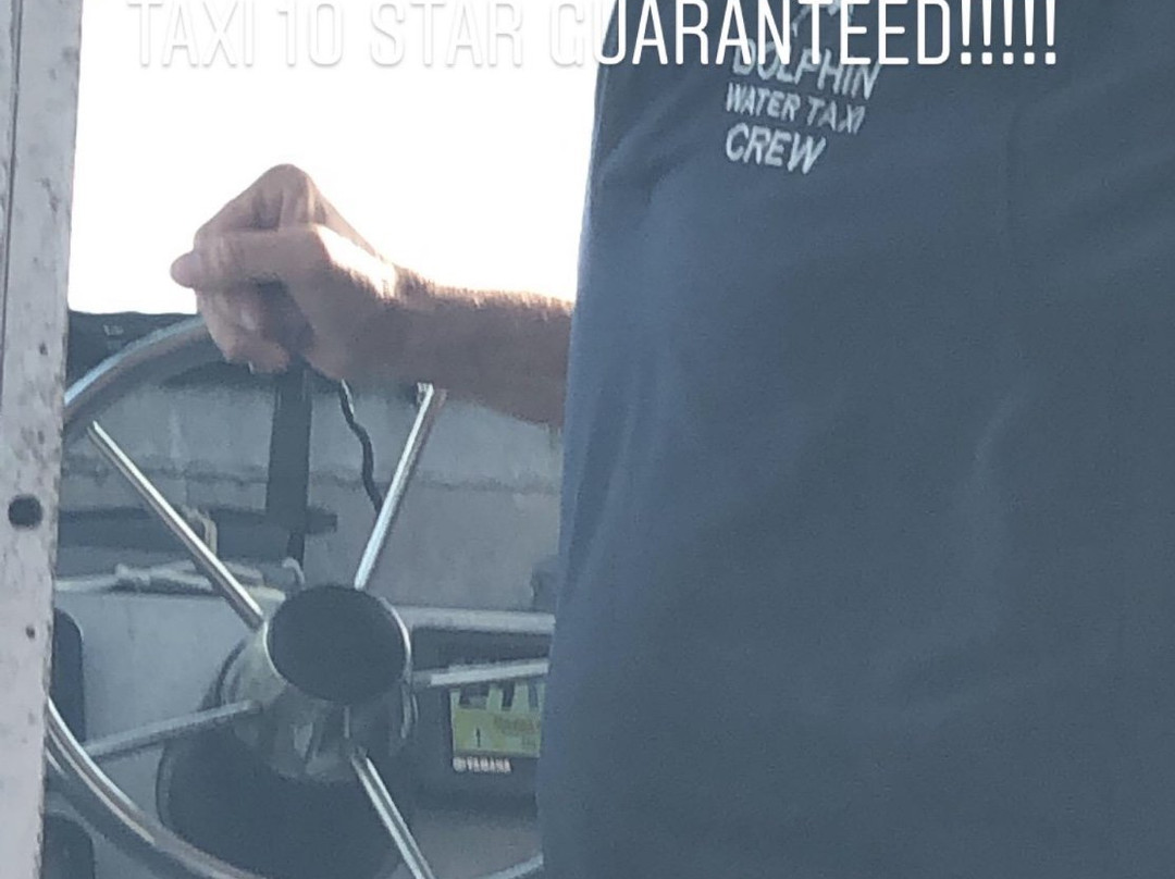 Dolphin Water Taxi-圣 托马斯必去景点