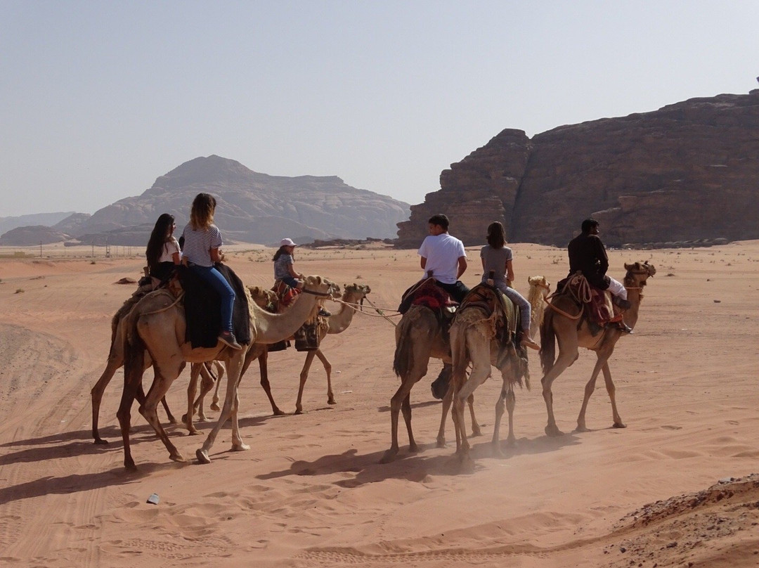 Jordan transportation services-安曼必去景点