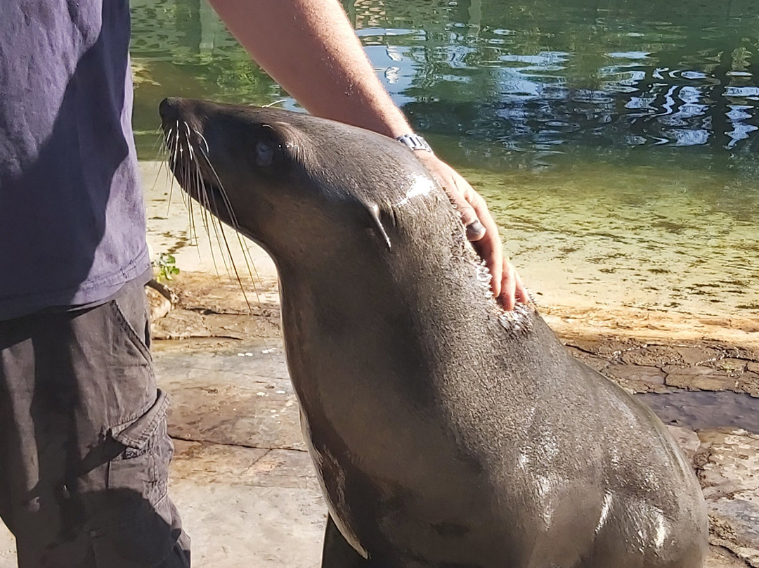 Hartbeespoort Aquarium-哈特比斯普特必去景点
