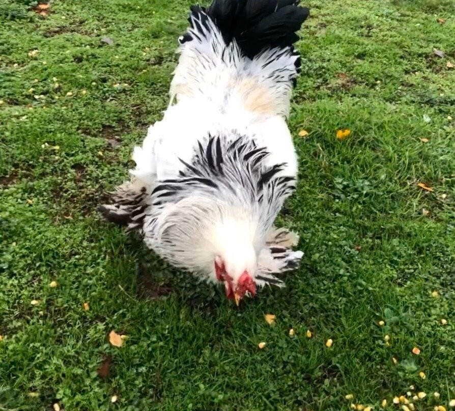 La Casona de Amaido主图