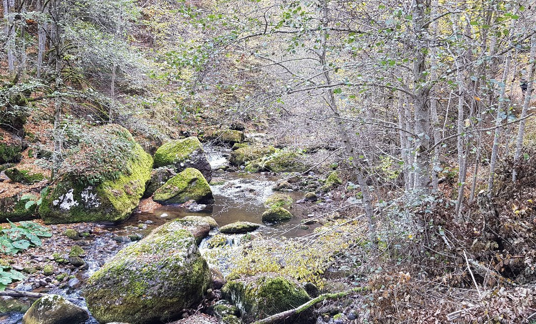 Samodivskoto Prŭskalo (Fairy Waterfall)-Devin必去景点