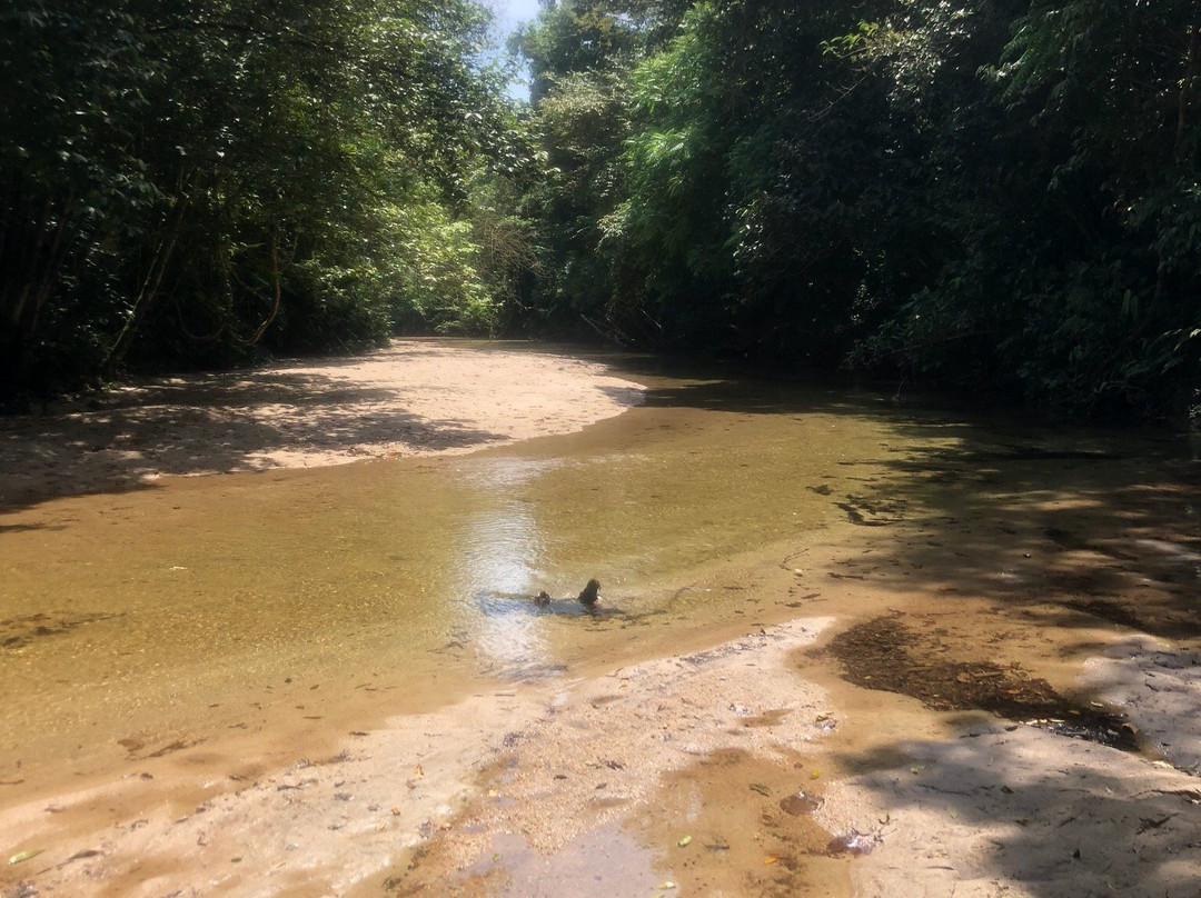 Aldeia dos Indios Guaranis-Bertioga必去景点