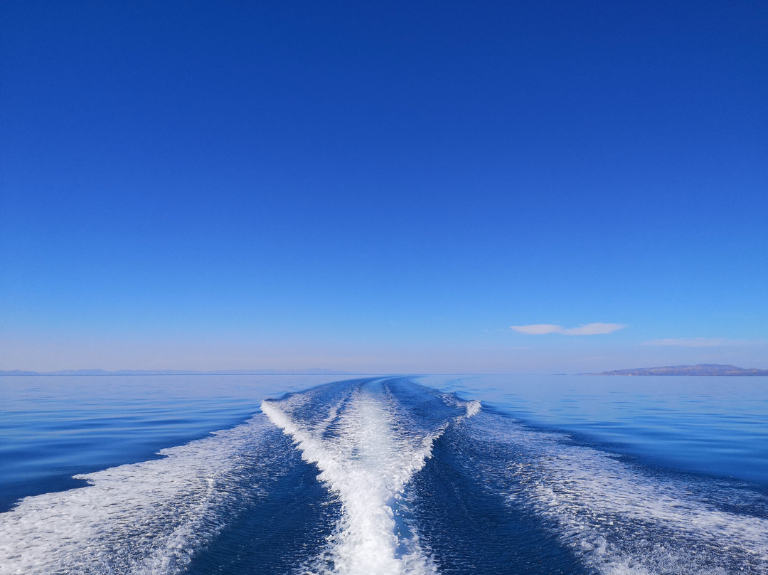 MT Solomons Freediving-拉巴斯必去景点