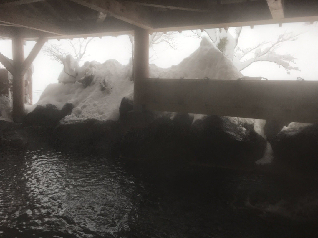 Ishiuchi Yung Parunas Day-use spa-南鱼沼市必去景点