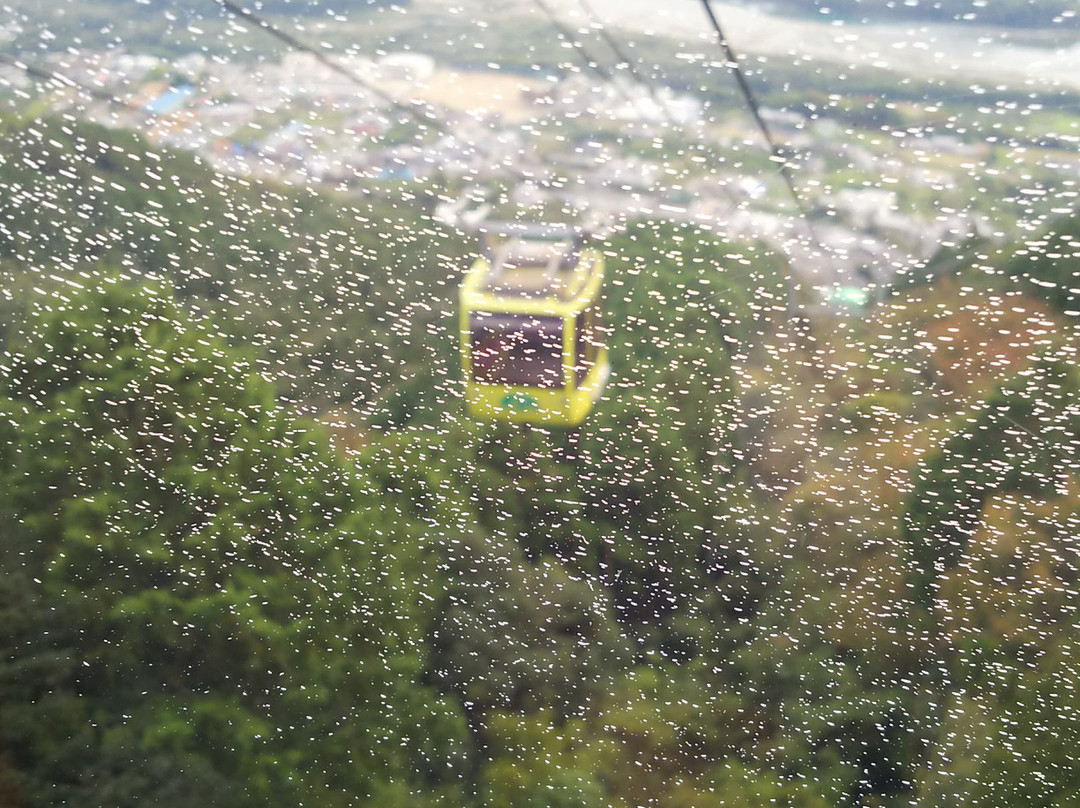 Hashikurasan Ropeway-三好市必去景点