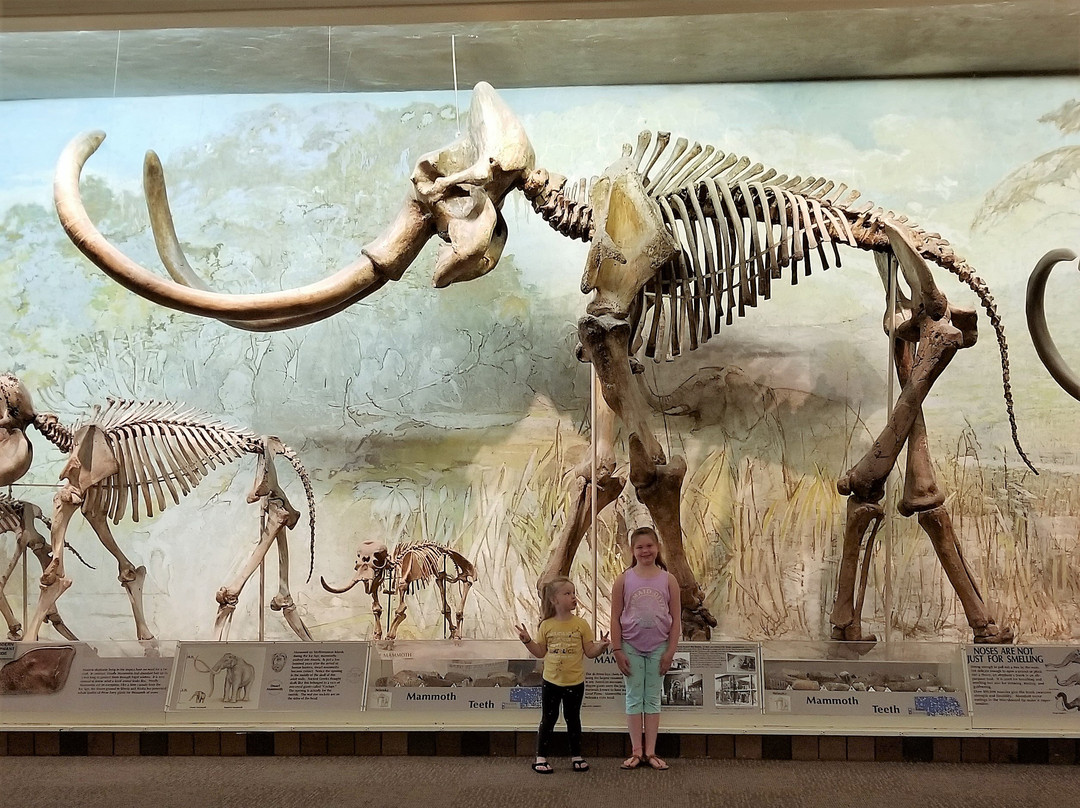 内布拉斯加大学博物馆-林肯必去景点