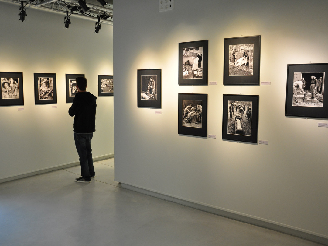 Les Essarts, Espaces Arts et Cultures-Bram必去景点