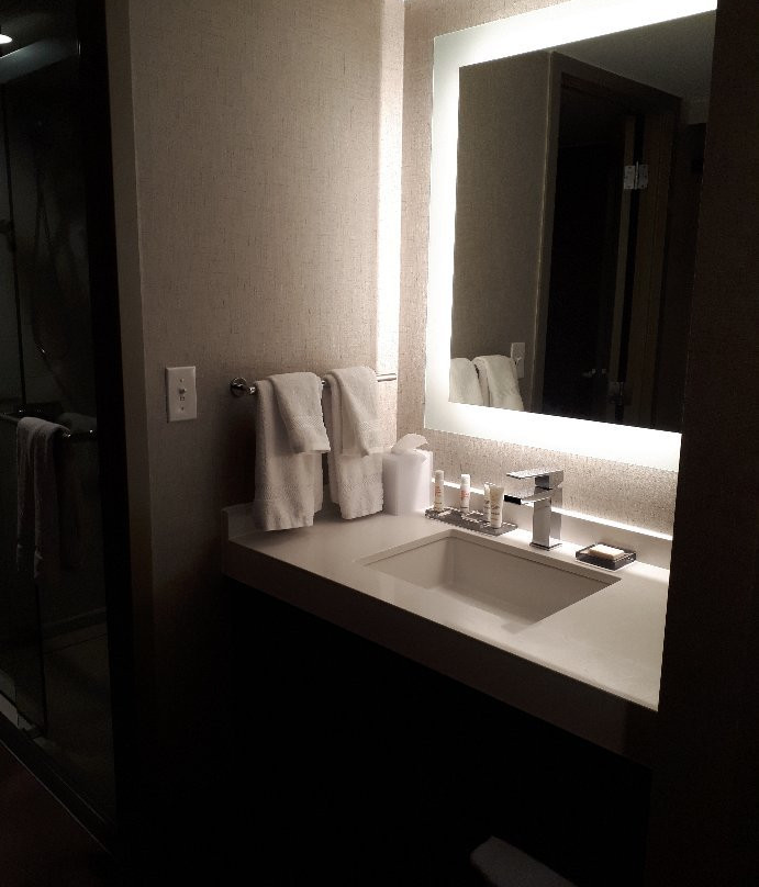 底特律特洛伊万豪酒店主图