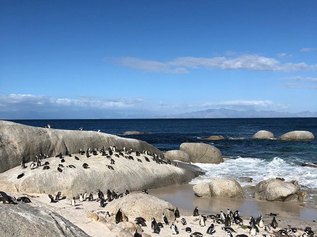 Private Cape Tours-康士坦提亚必去景点