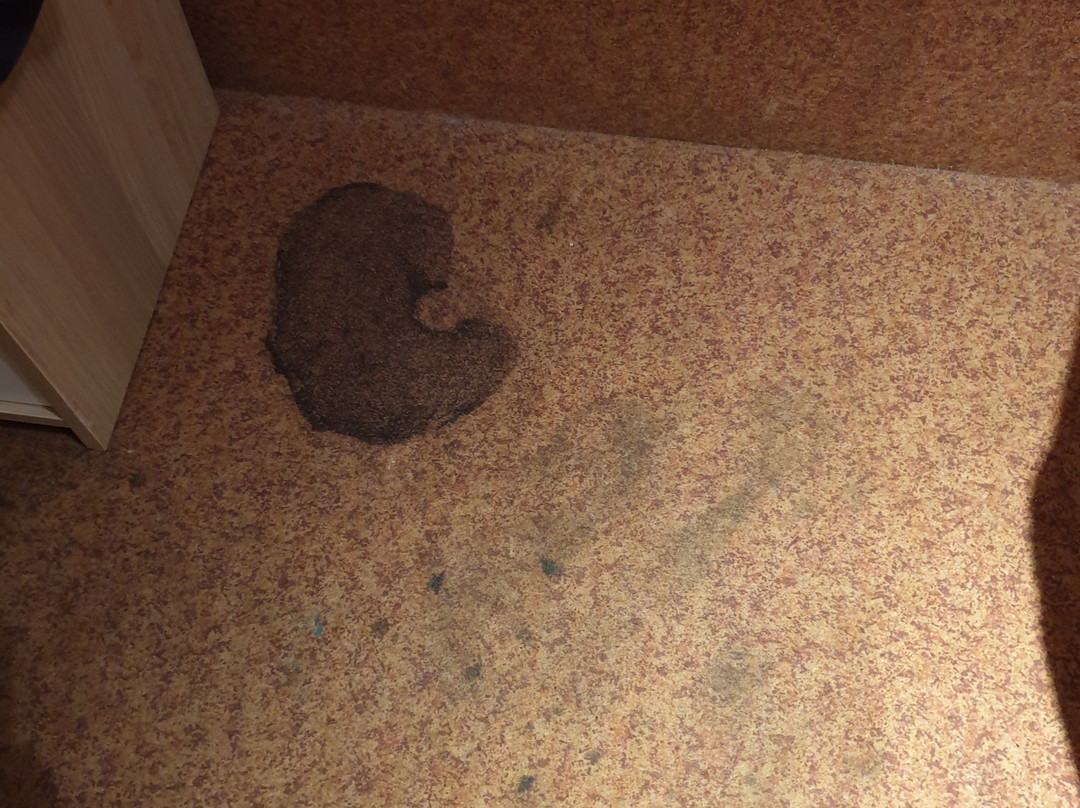 Hotel Iris Guadalajara主图