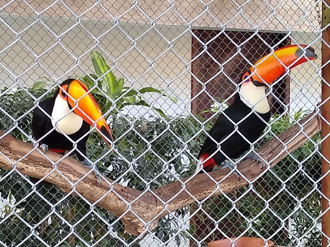 Pousada Sol e Mar主图