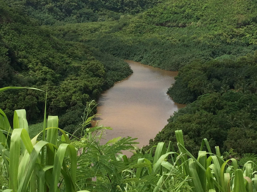 威鲁亚河州立公园-Wailua必去景点