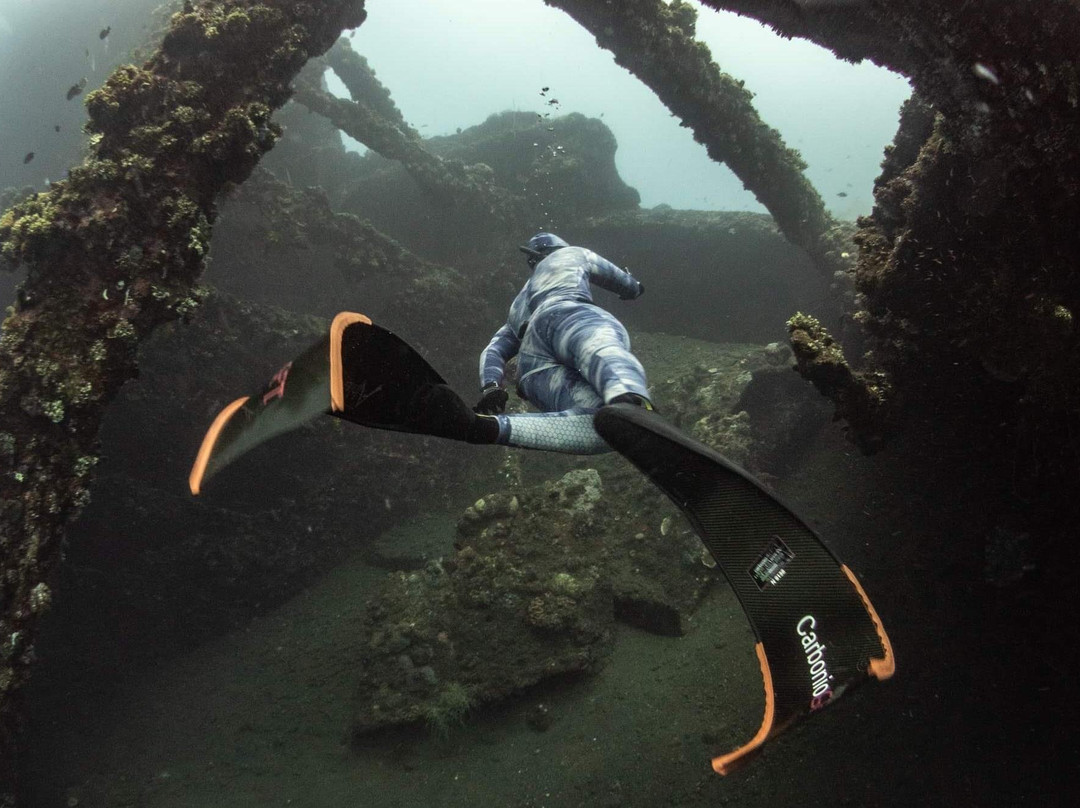 The Freedive Shop-Azaiba必去景点