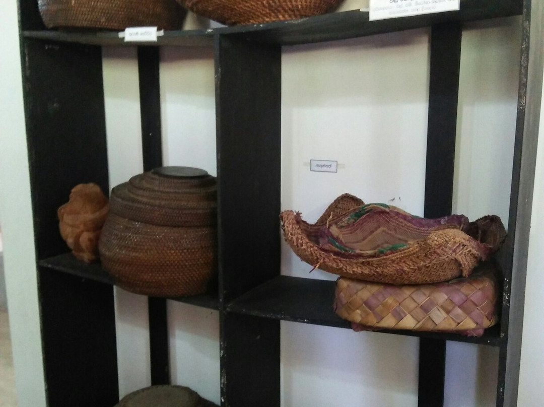 Dambadeniya Ancient Kingdom Museum景点图片