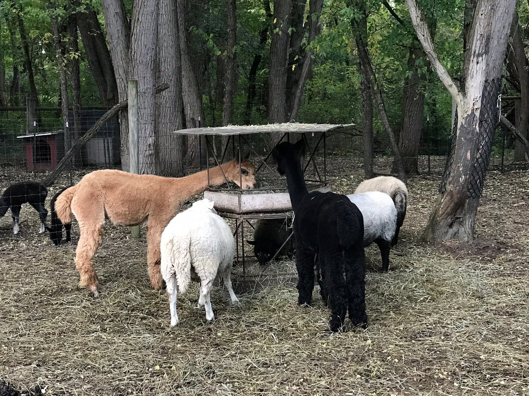 Powers Farm Market-Pittsford必去景点