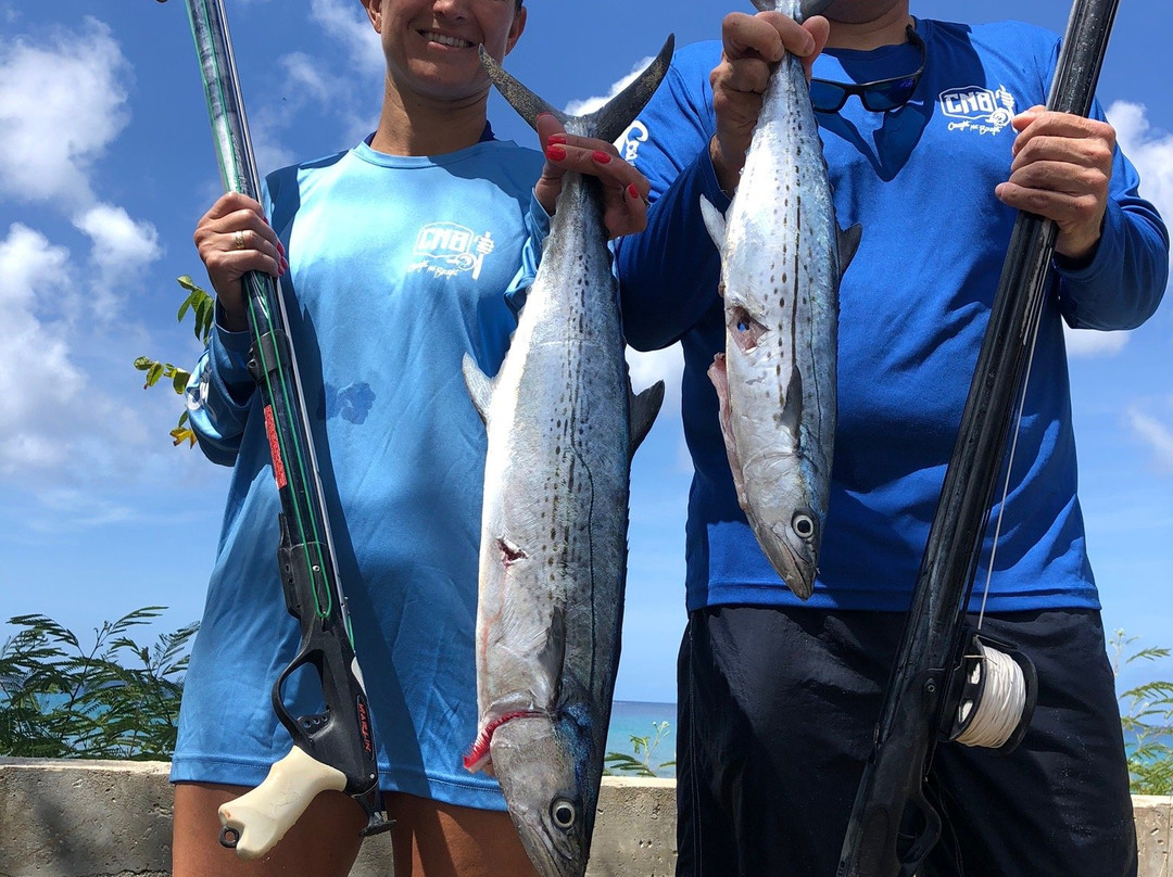 Spearfishing Barbados-巴巴多斯必去景点