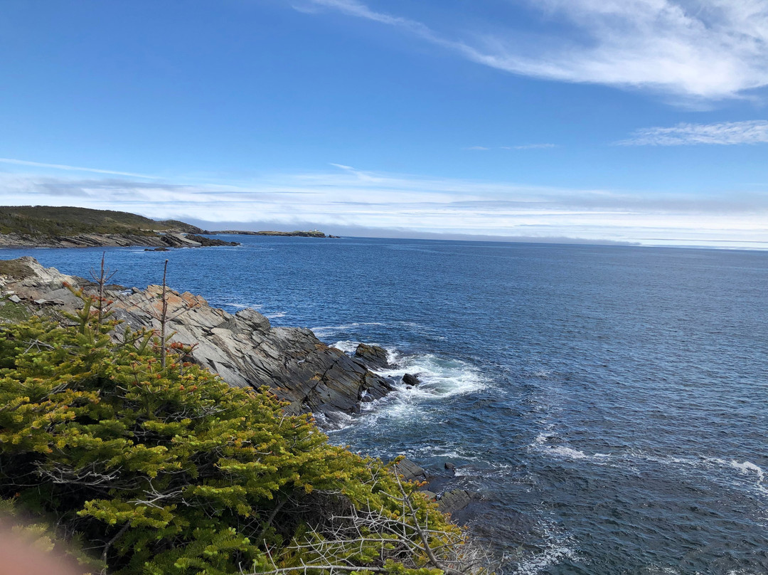 Murphy's Cove Lodge's Pond Trail景点图片