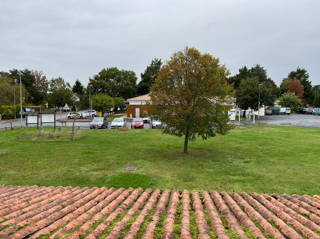 亚特兰蒂斯酒店主图