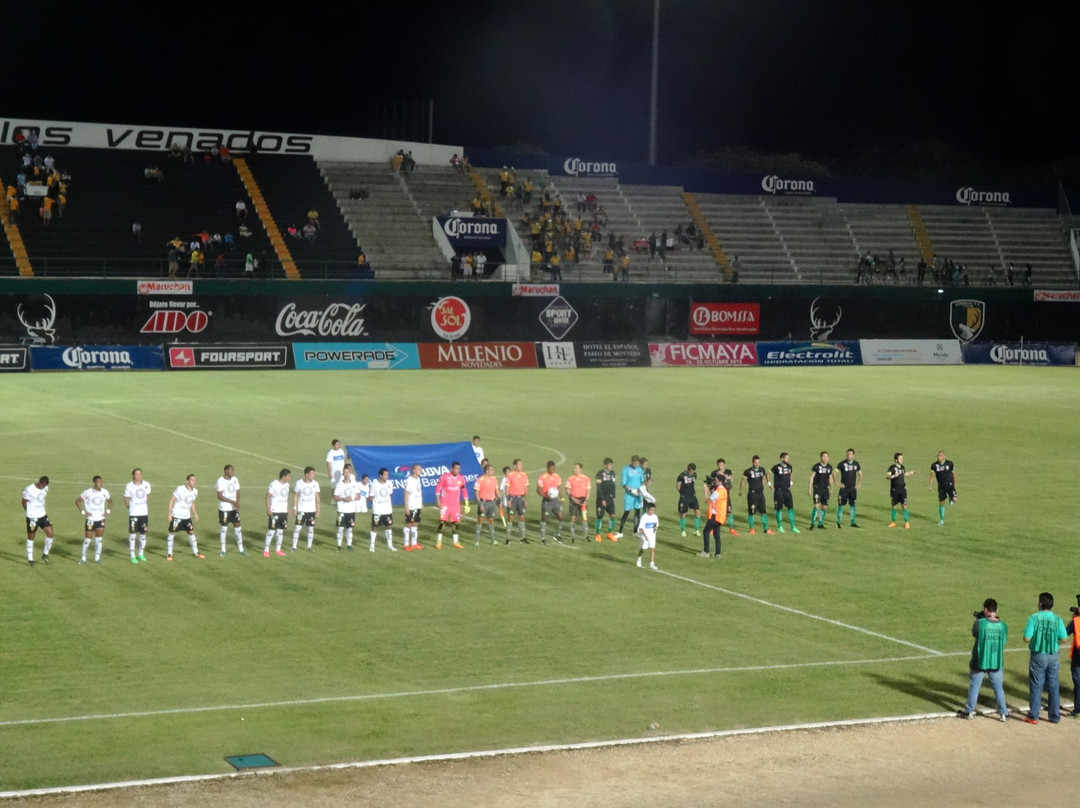 Kinchil旅游景点-Estadio Carlos Iturralde