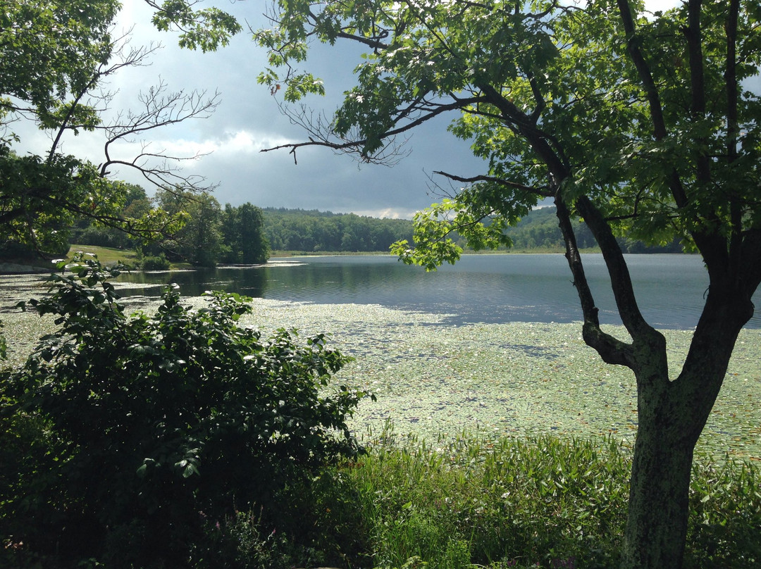 Lake Taghkanic State Park景点图片