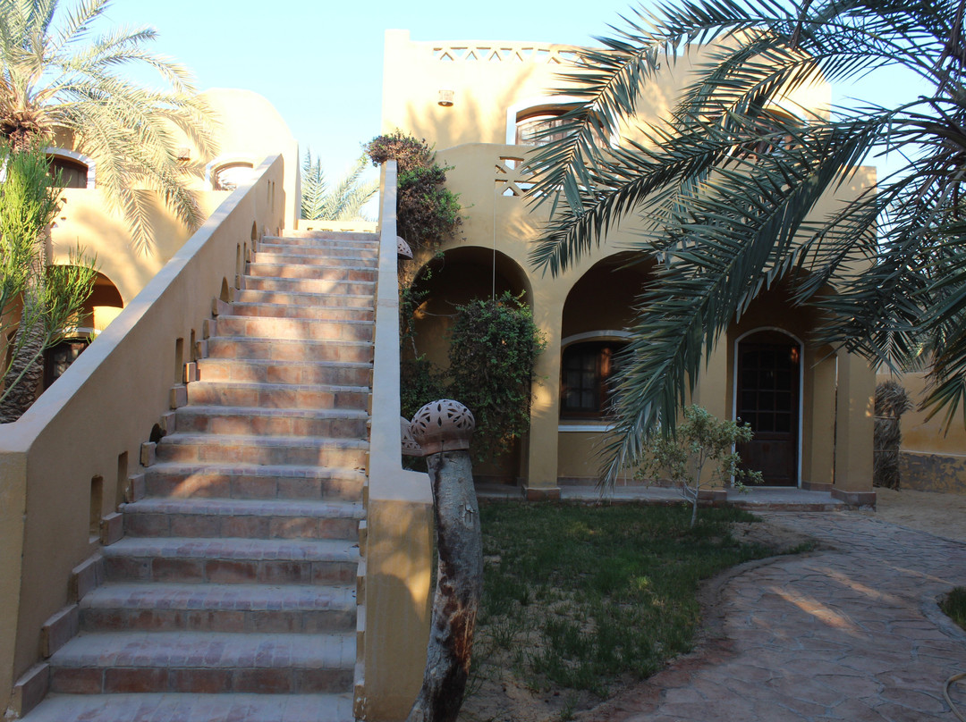 Siwa Safari Gardens Hotel主图