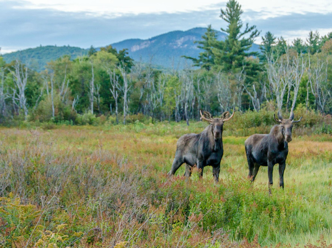 Dan's Scenic Tours - Private Tours