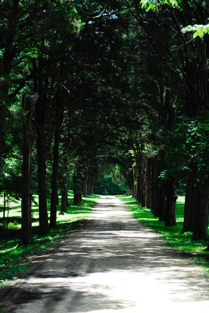 Indian Head旅游景点-Chapman State Park