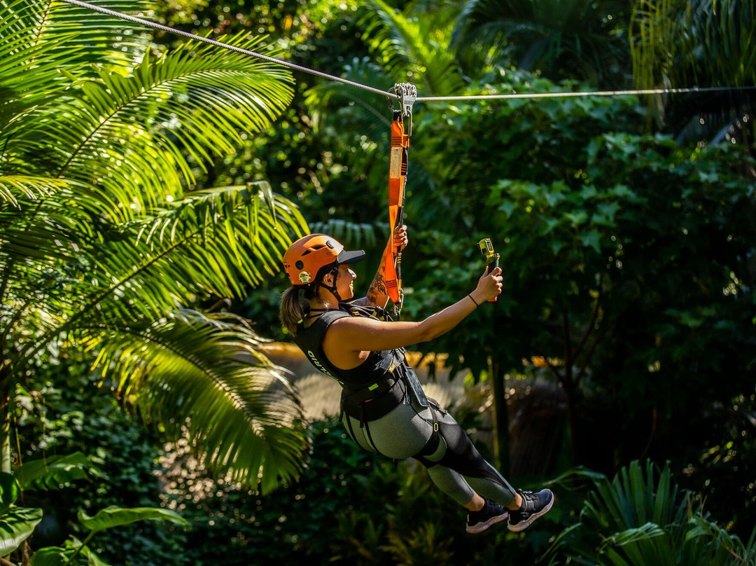 Jungle Zipline Maui-毛伊岛必去景点