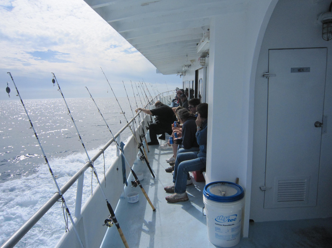 Dolphin Deep Sea Fishing-塔彭斯普林斯必去景点