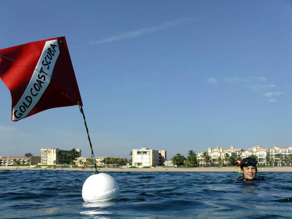 黄金海岸潜水-滨海劳德代尔必去景点
