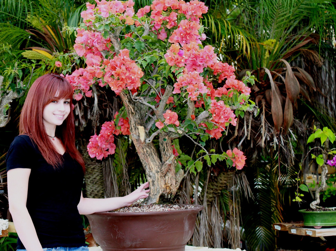 Goulds旅游景点-Miami Tropical Bonsai