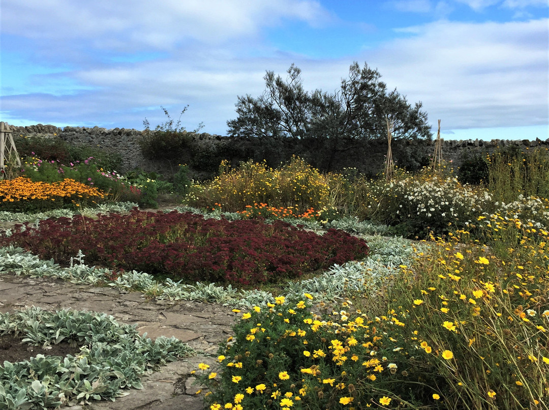 The Gertrude Jekyll Garden景点图片