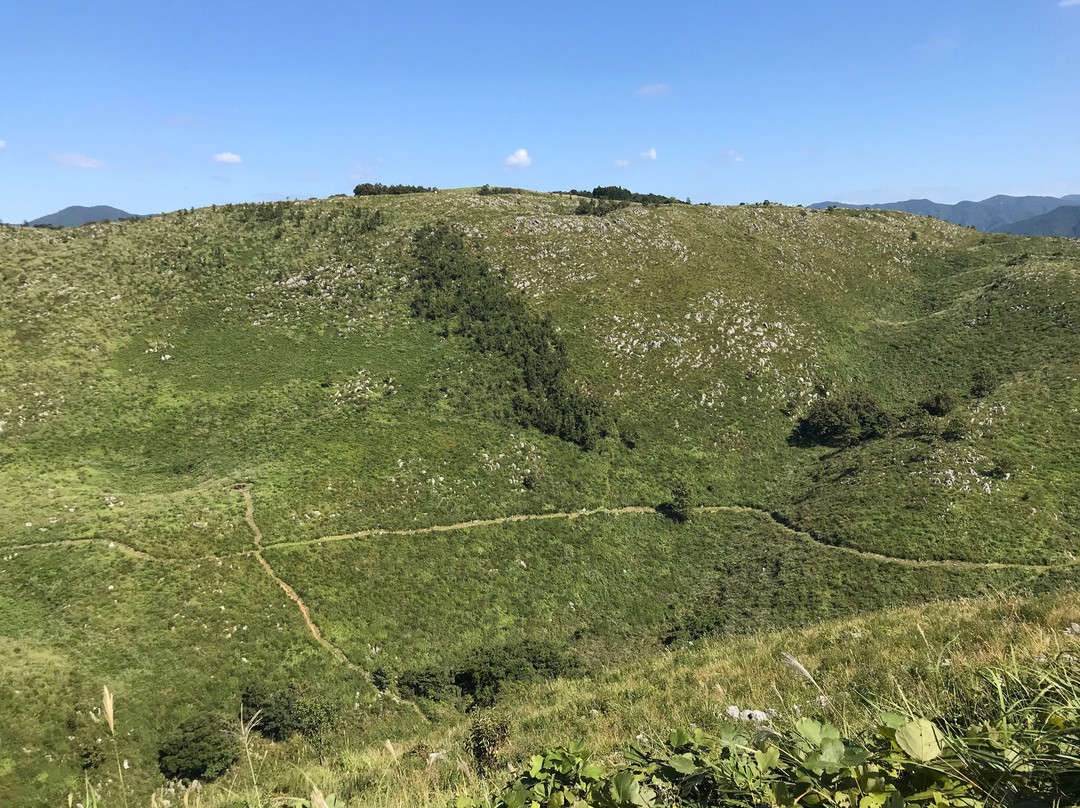 Akiyoshidai Observation Trail景点图片