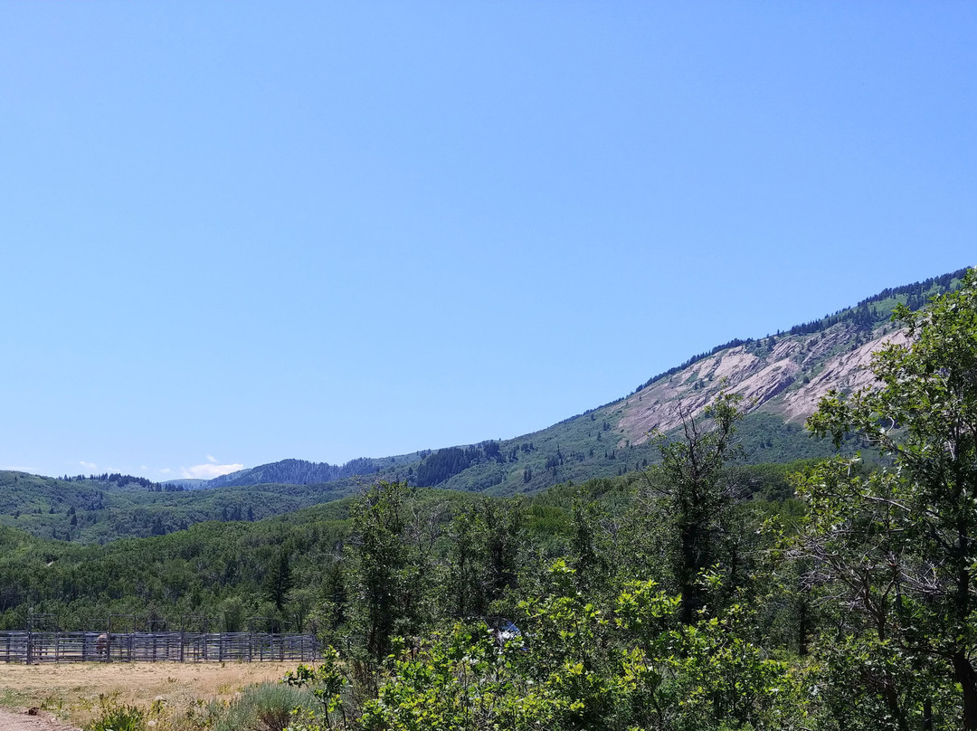 Weber County North Fork Park景点图片