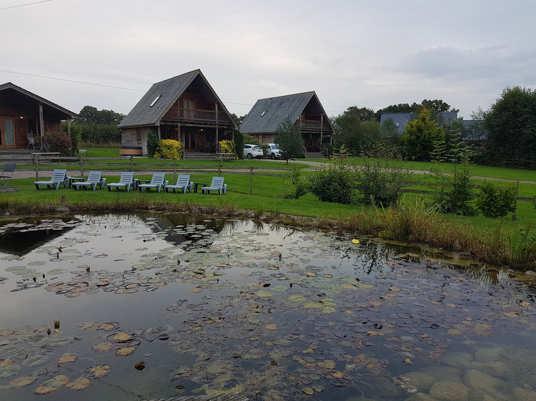 Oasis Lodges