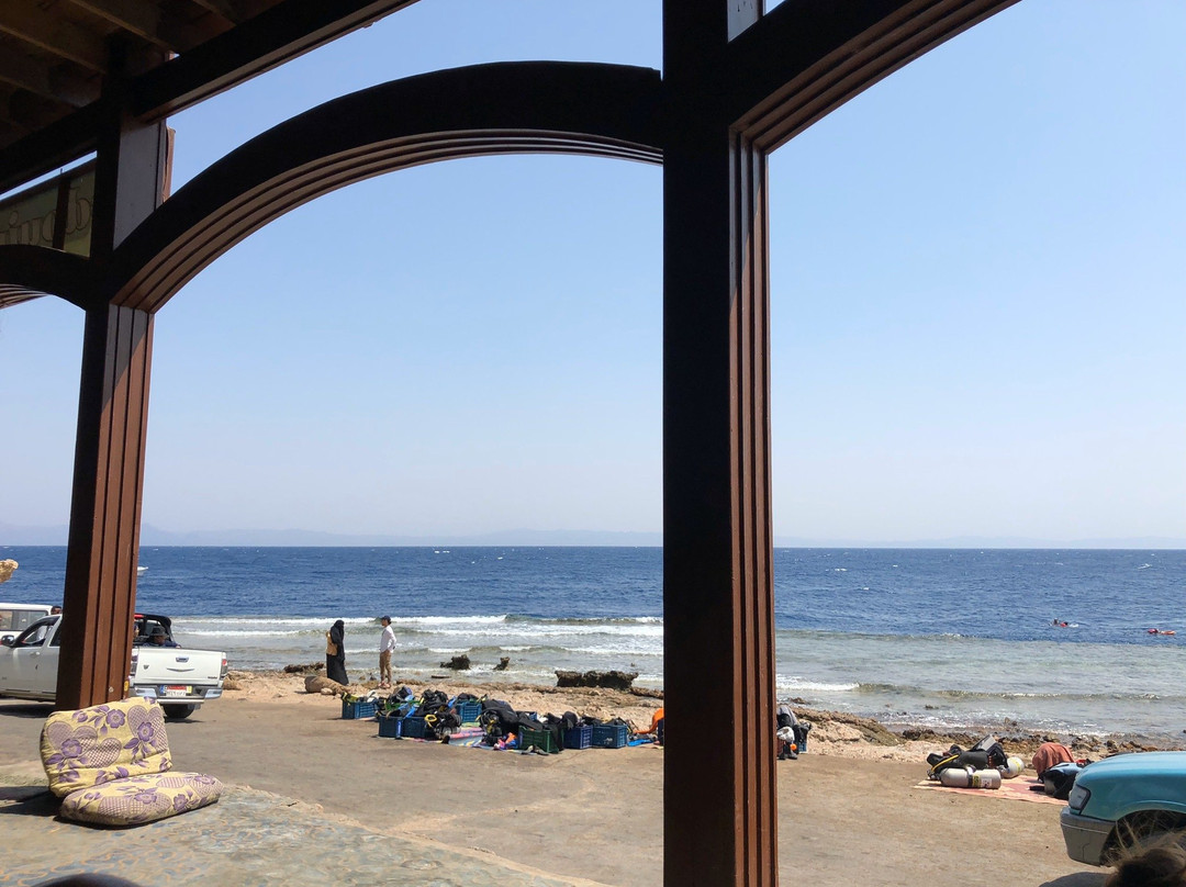 Fish & Friends Diving Centre-达哈卜必去景点